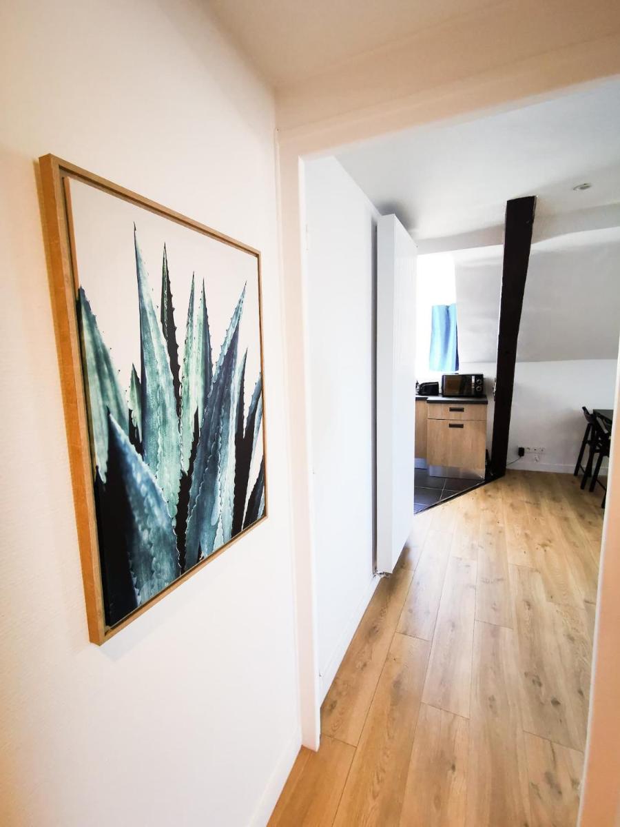 Appartement Cosy en Hypercentre - Le Petit Jules - Housity