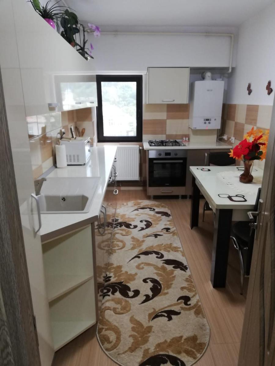 Apartament Ioana - Housity
