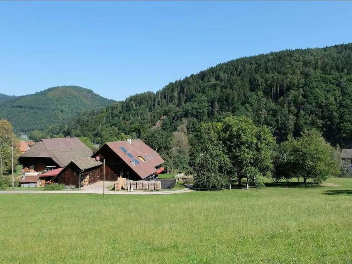 Zimmerbauernhof - Housity