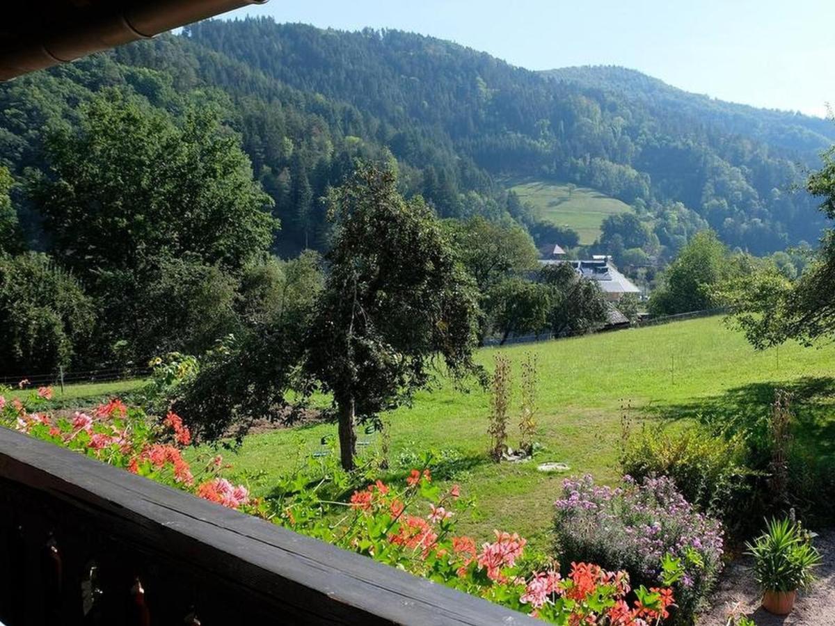 Zimmerbauernhof - Housity