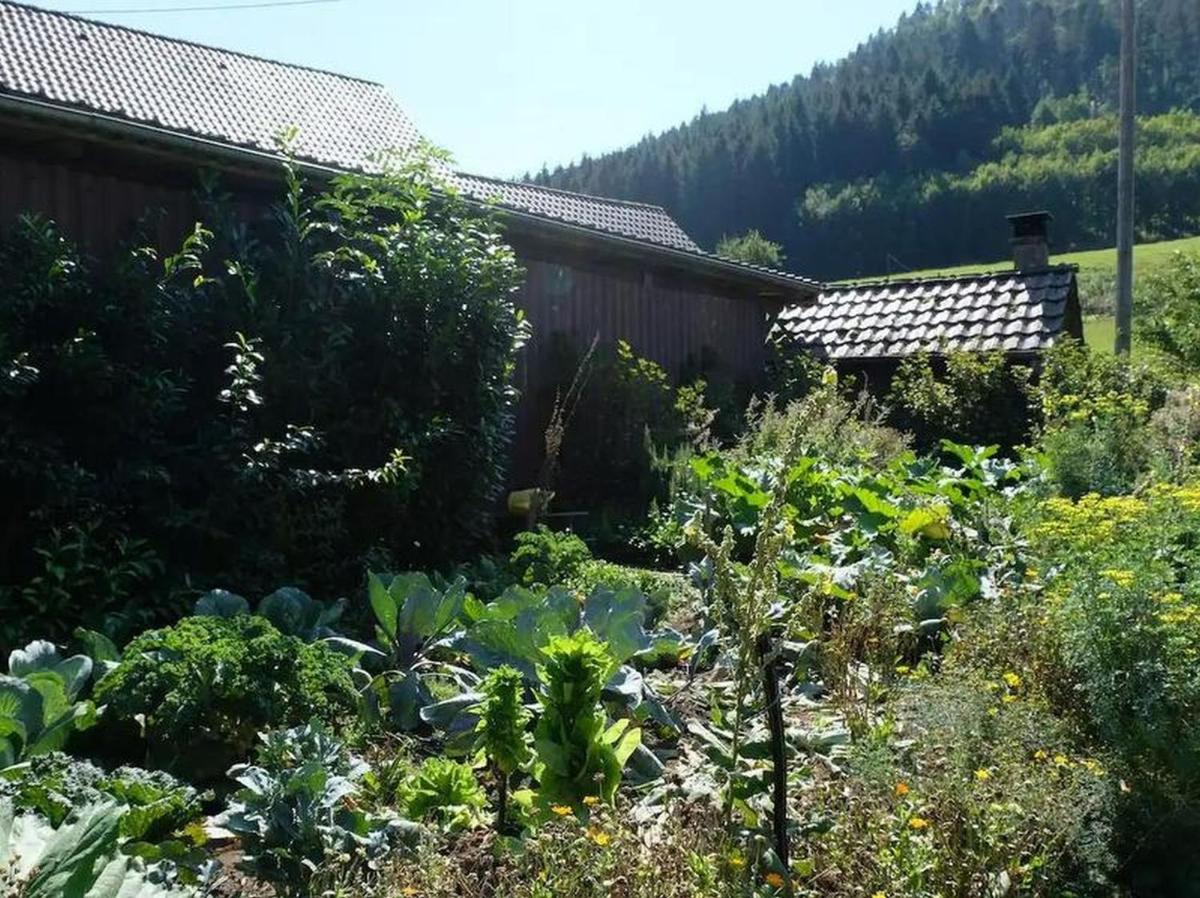 Zimmerbauernhof - Housity