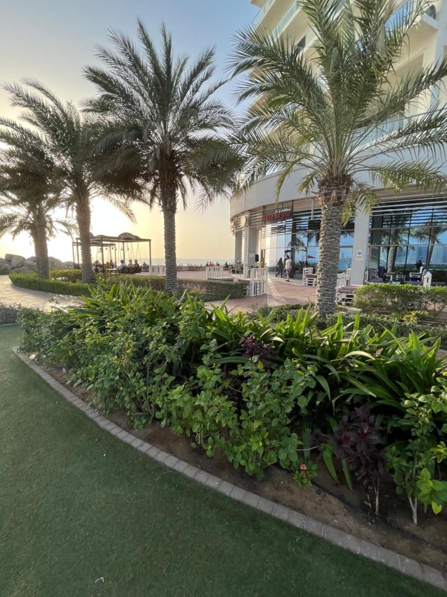 Breathtaking Studio Apartment in Marjan Island - Housity