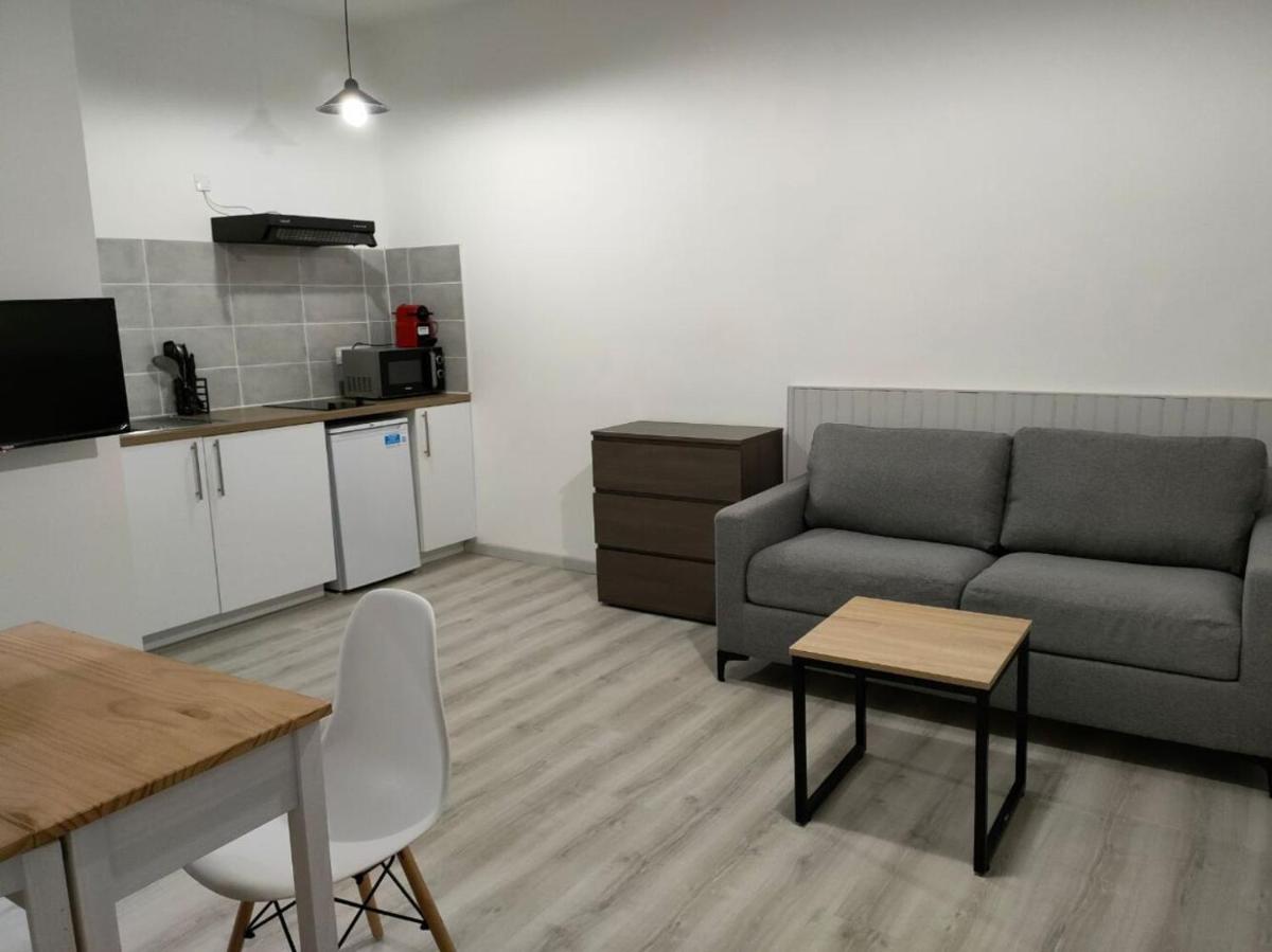 Saint Etienne Studio Lot 8 - Housity