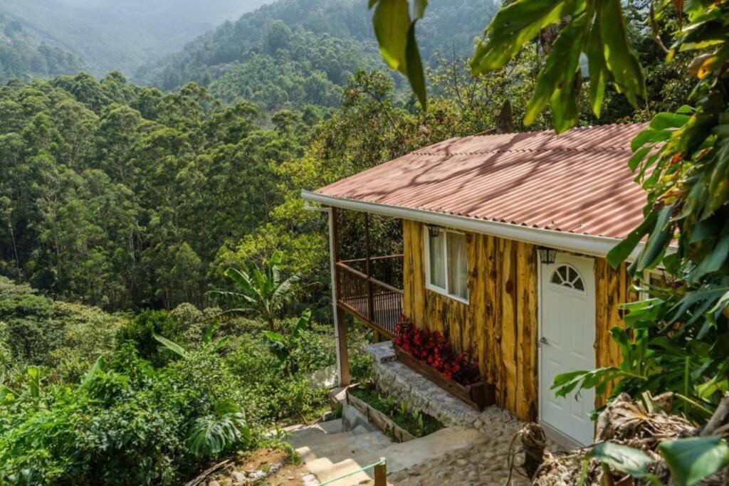 Cabaña campestre cerca a Ecoparque El Salado, Envigado. - Housity