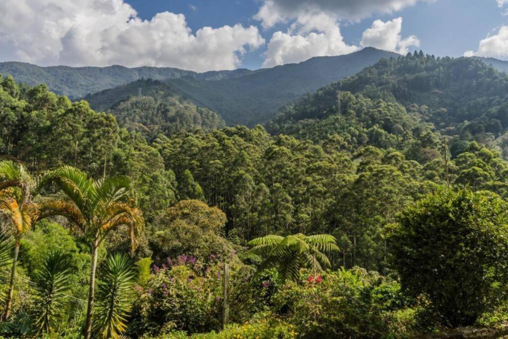 Cabaña campestre cerca a Ecoparque El Salado, Envigado. - Housity