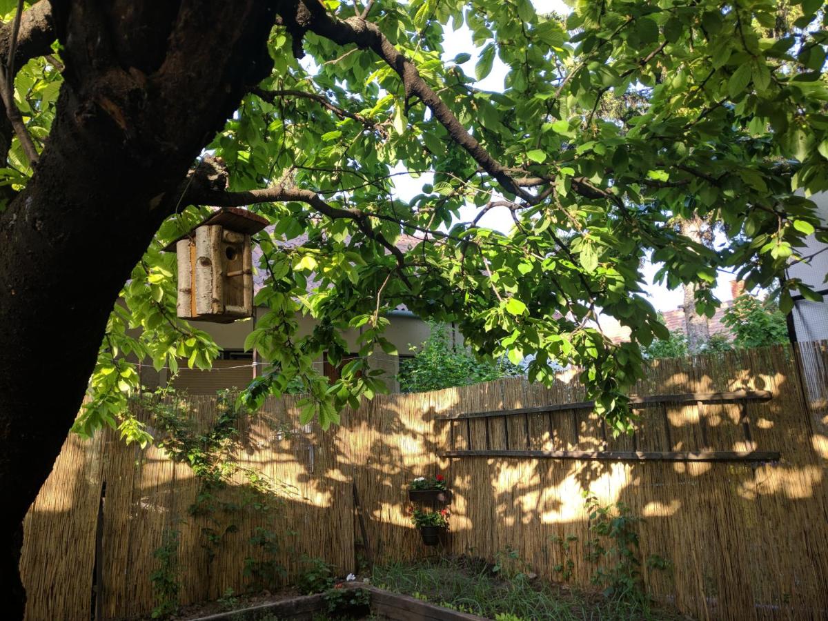 Cseresznyés apartman - Housity