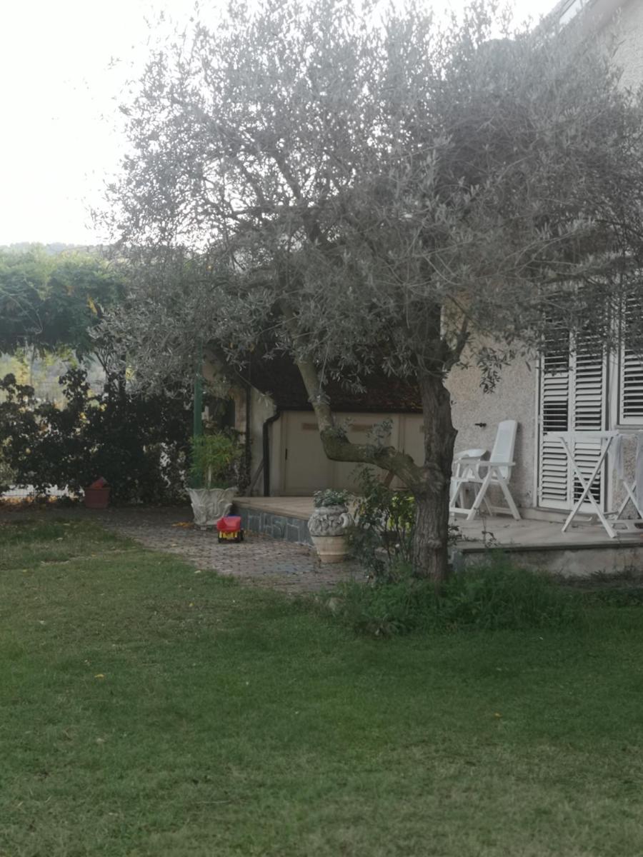 Villa Vecchio Ulivo - Housity