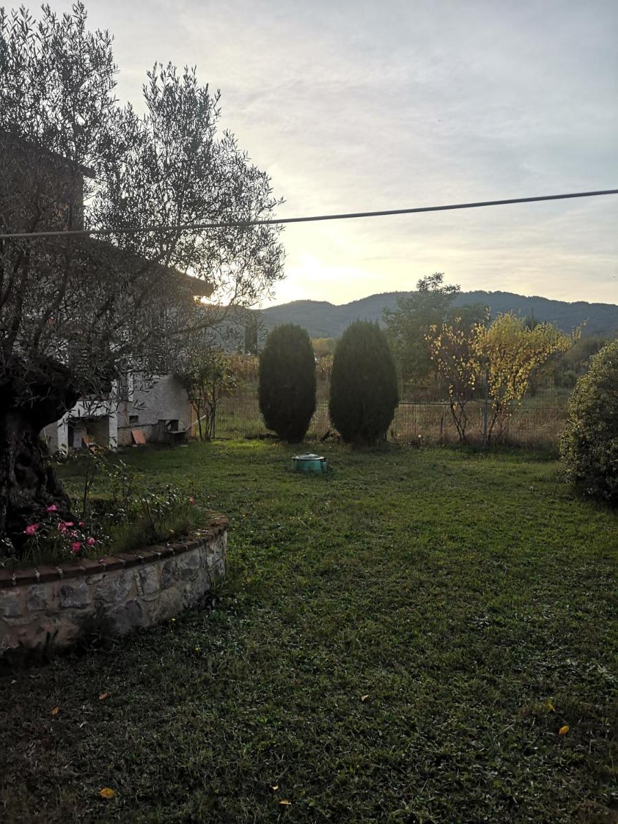 Villa Vecchio Ulivo - Housity