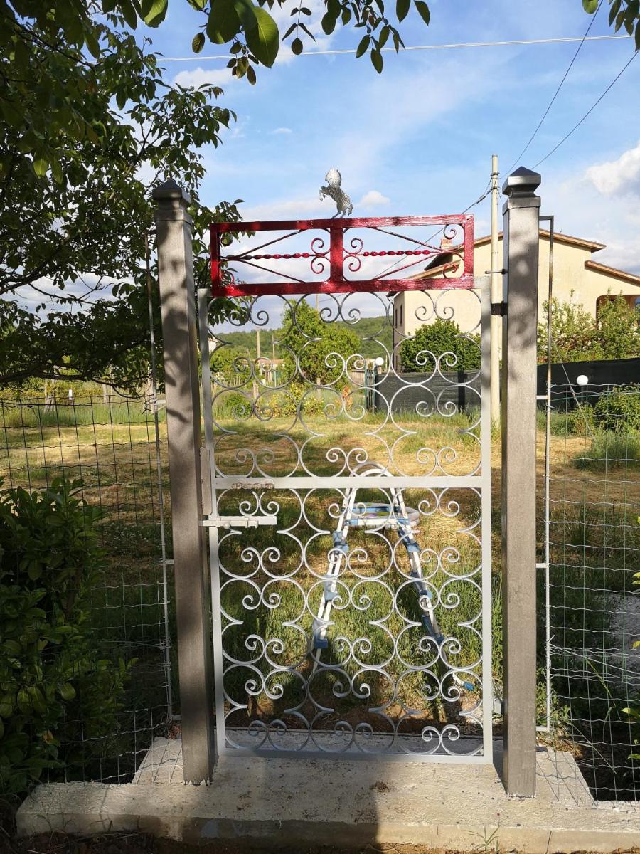 Villa Vecchio Ulivo - Housity