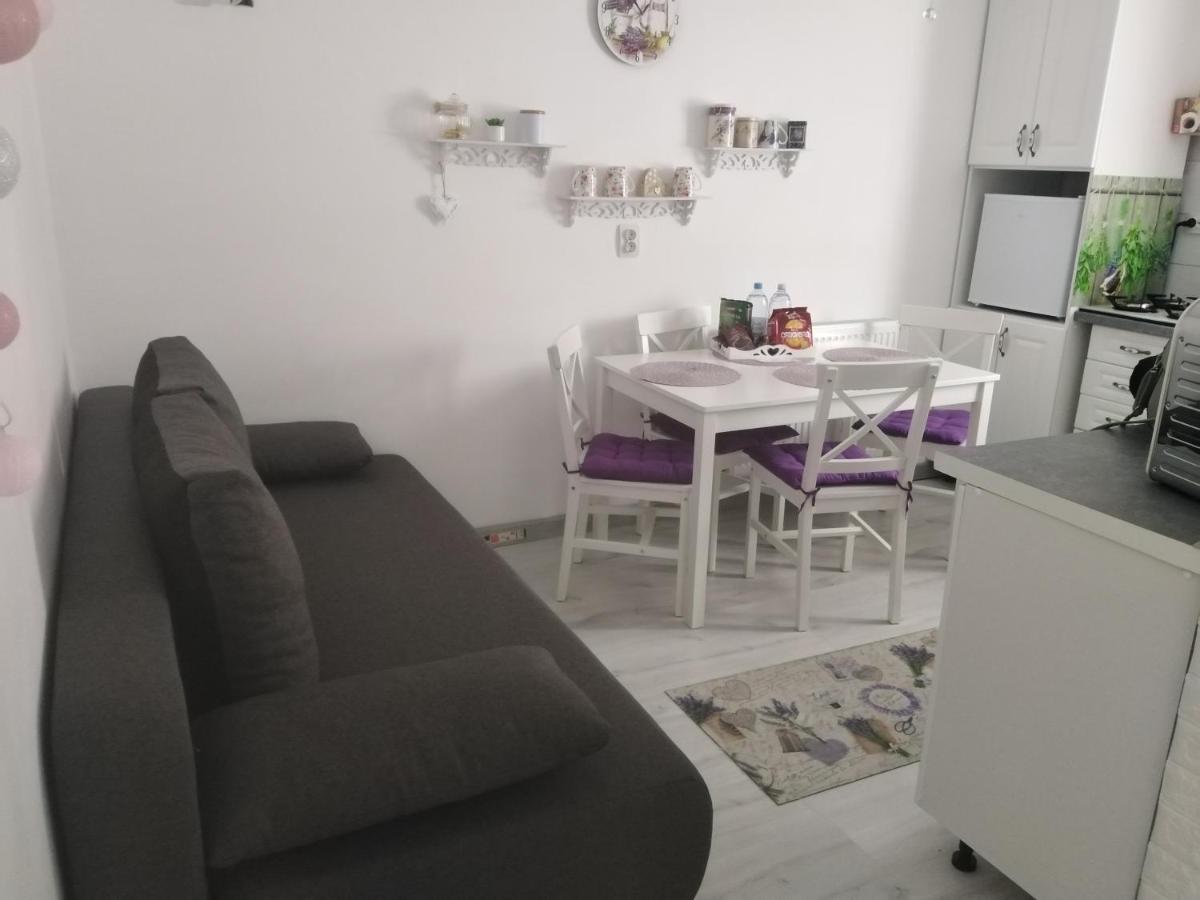 La Monica 2 - Cazare Straja - Lupeni - Retezat - Parang - Housity