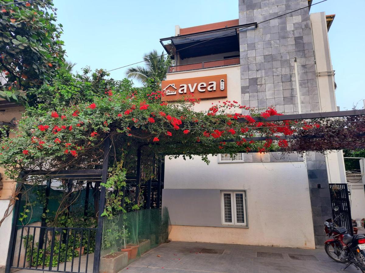 Avea Accommodation - Housity