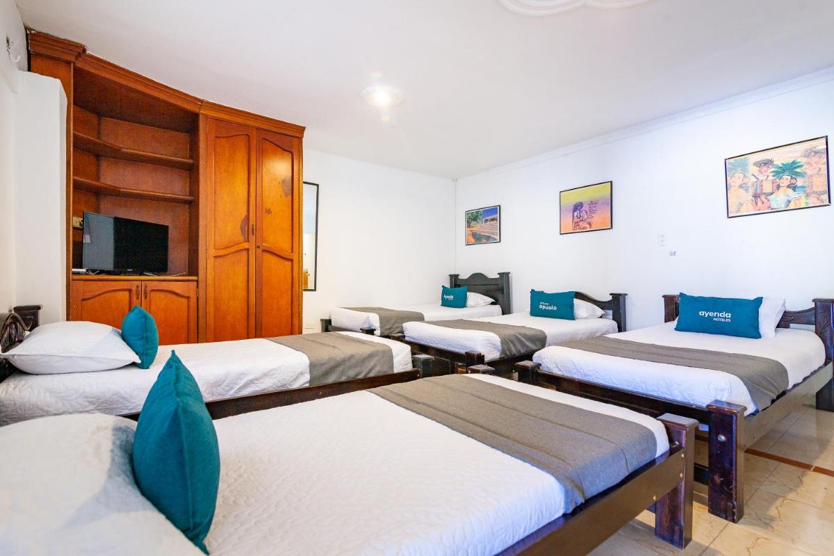 Ayenda Orquidea 19 - Housity