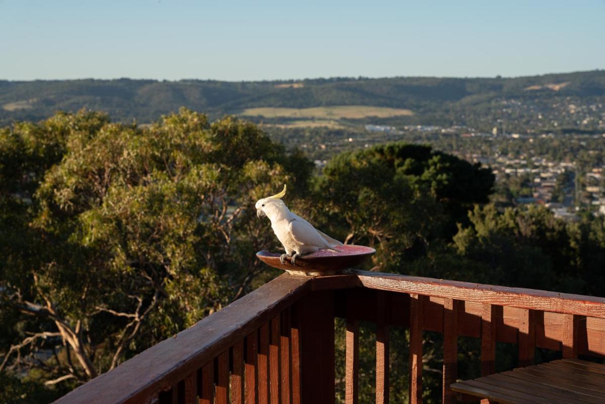 Kinoie Mornington - OCEANVIEW - Housity
