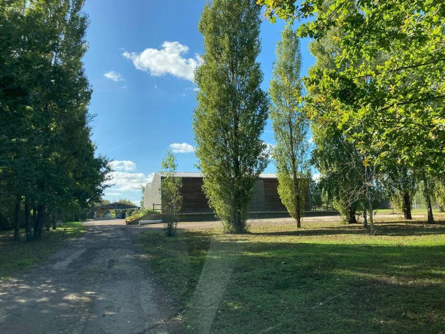 Habitation en bois authentique - Housity