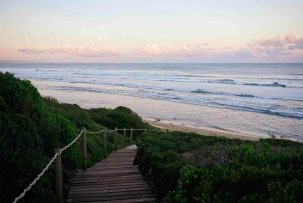 Baby Whale Bliss - Beachfront House - Housity