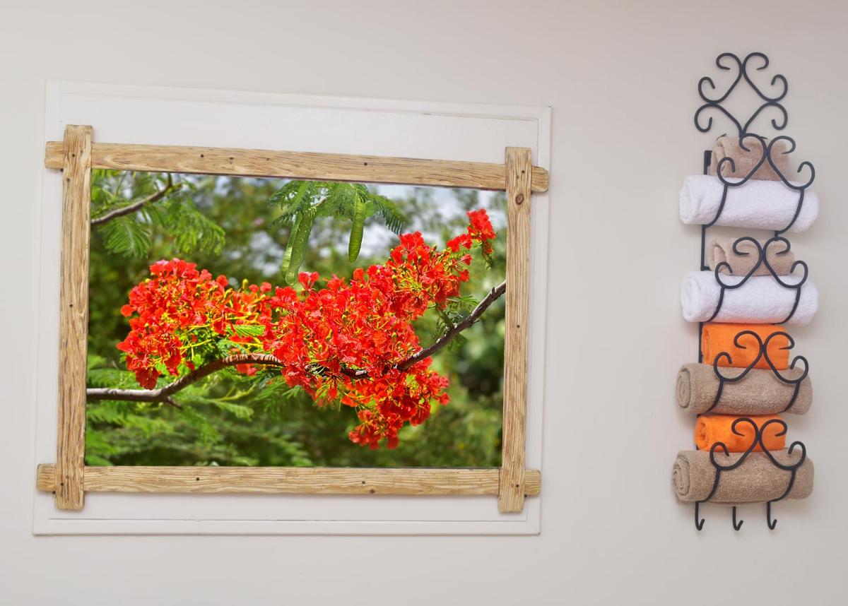 Turquoise - Coming soon - Housity