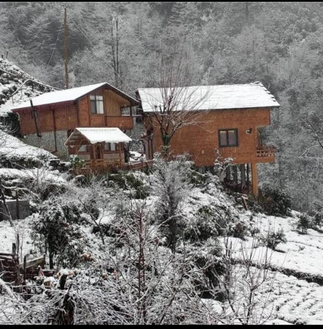 AVİTTE DAĞ EVLERİ - Housity