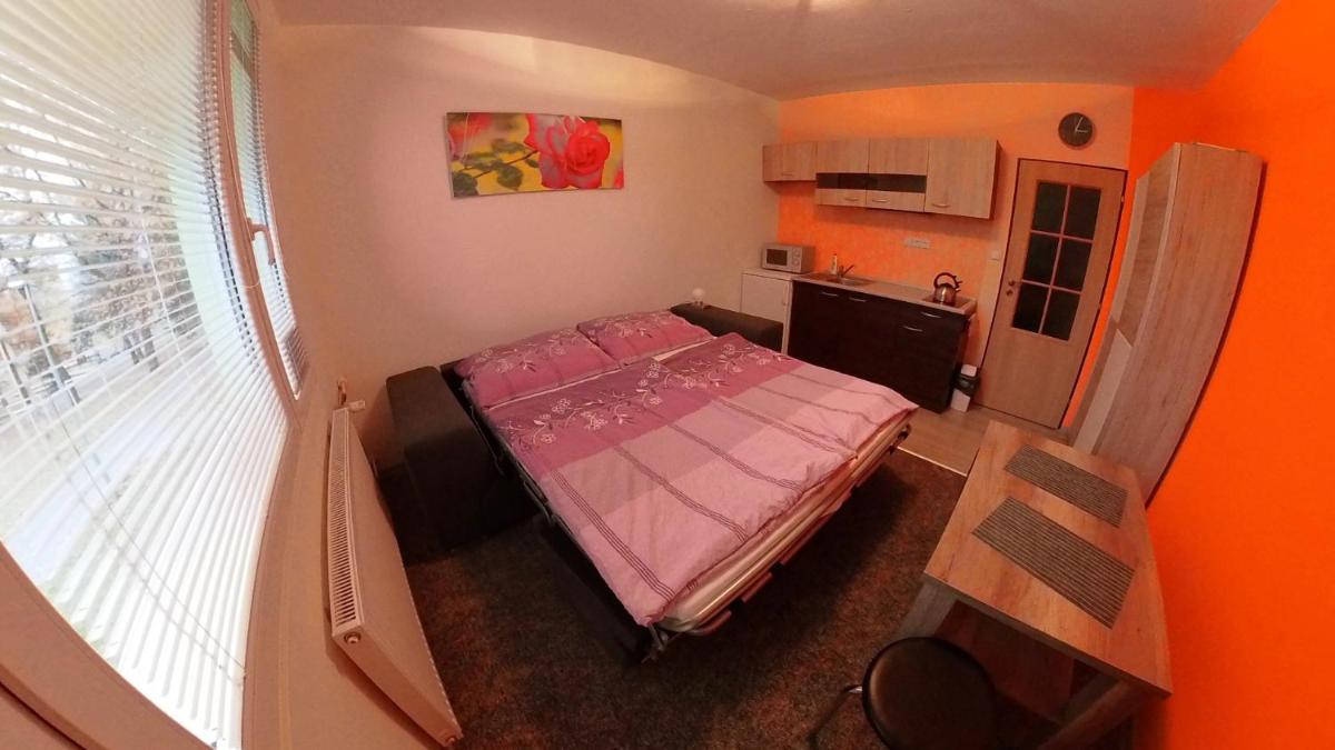 Garsonka Hliník - Housity