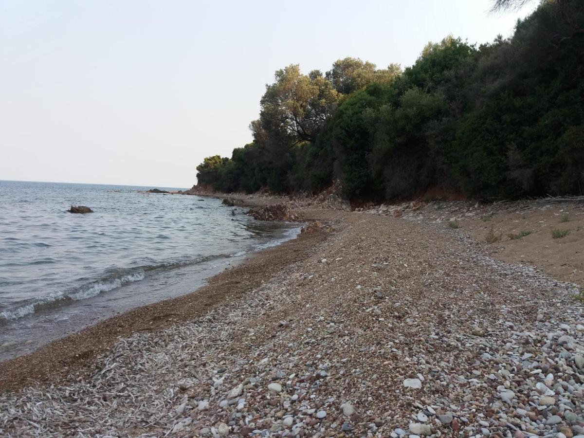 Nereids Apartments-Agavi - Housity