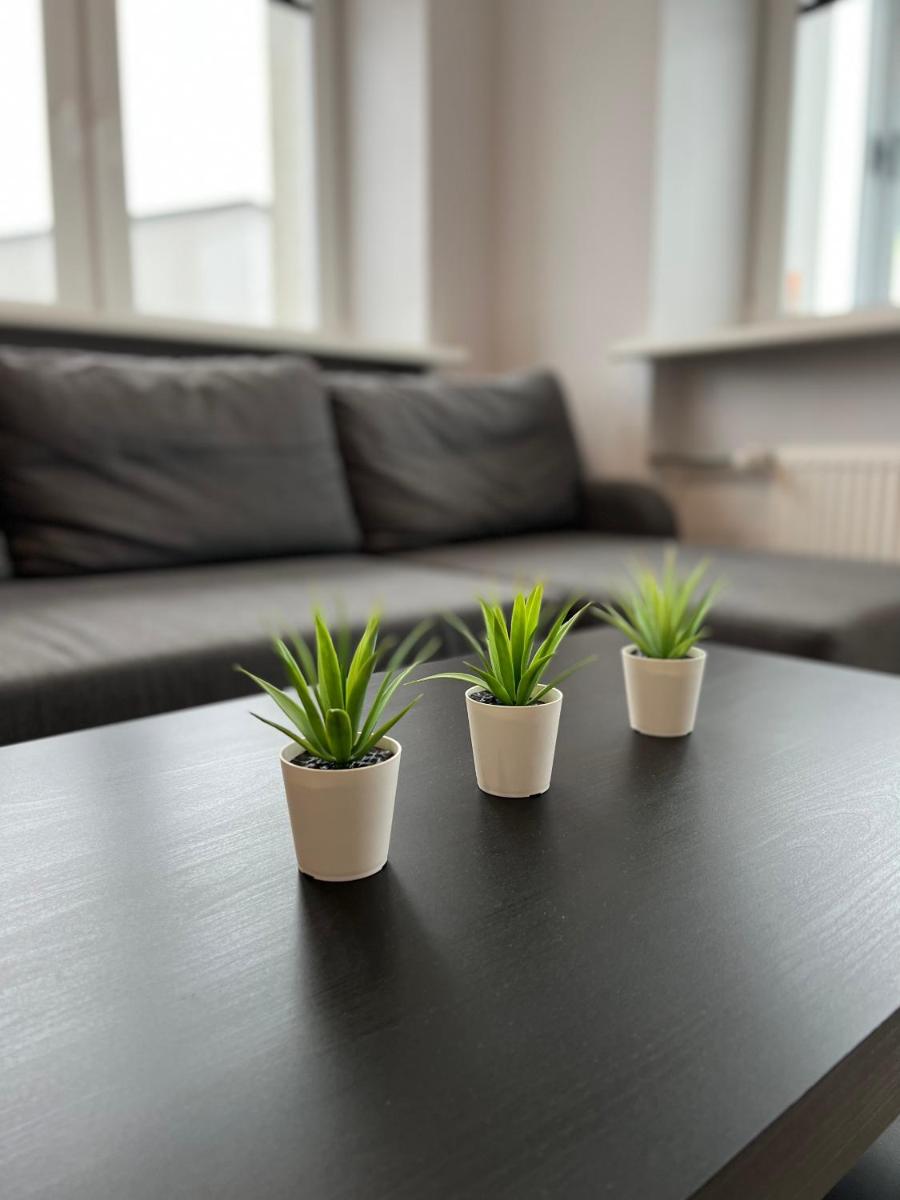 Akmene Center Apartment - Housity