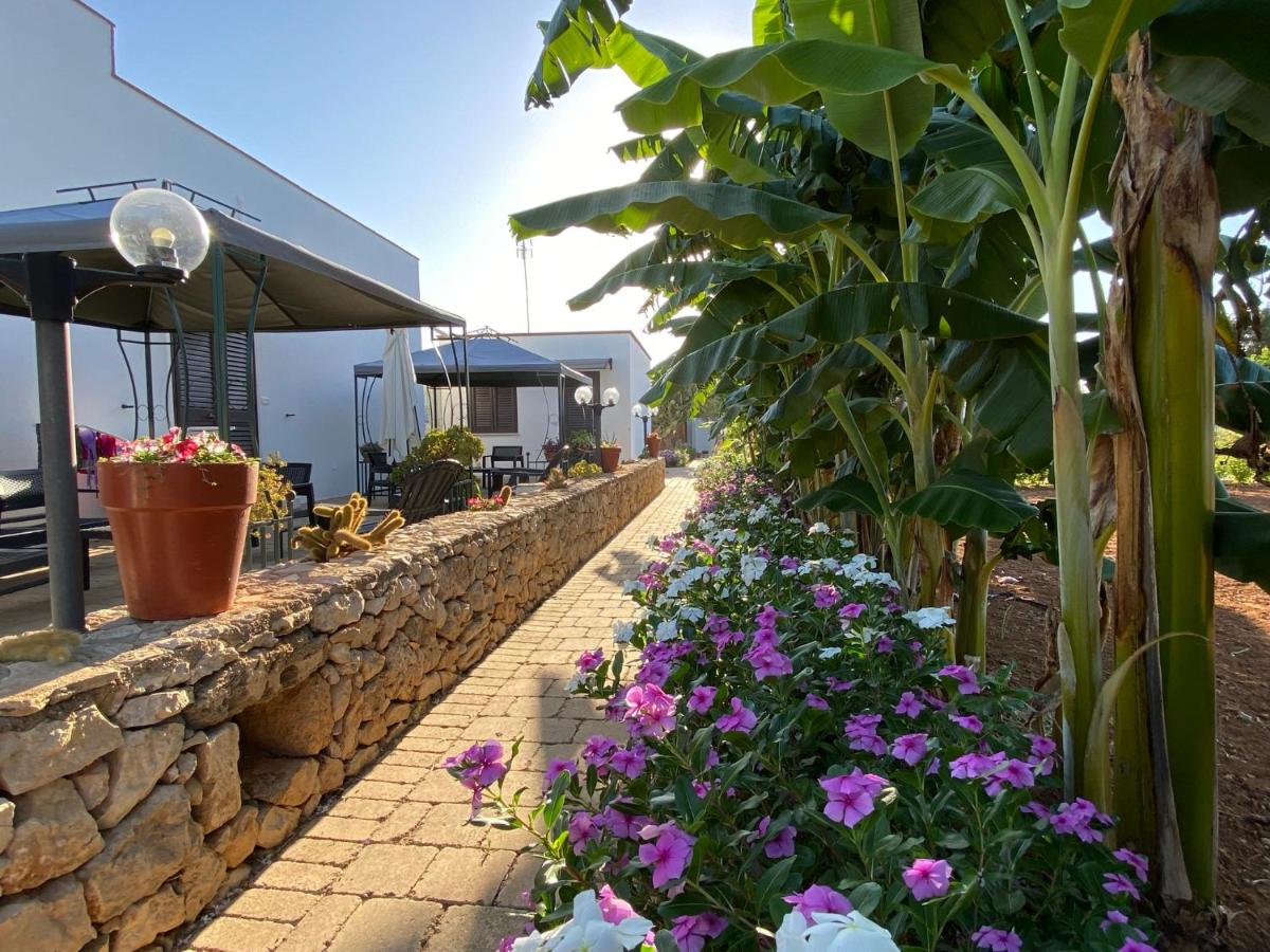 B&B Fellini Gallipoli - Housity