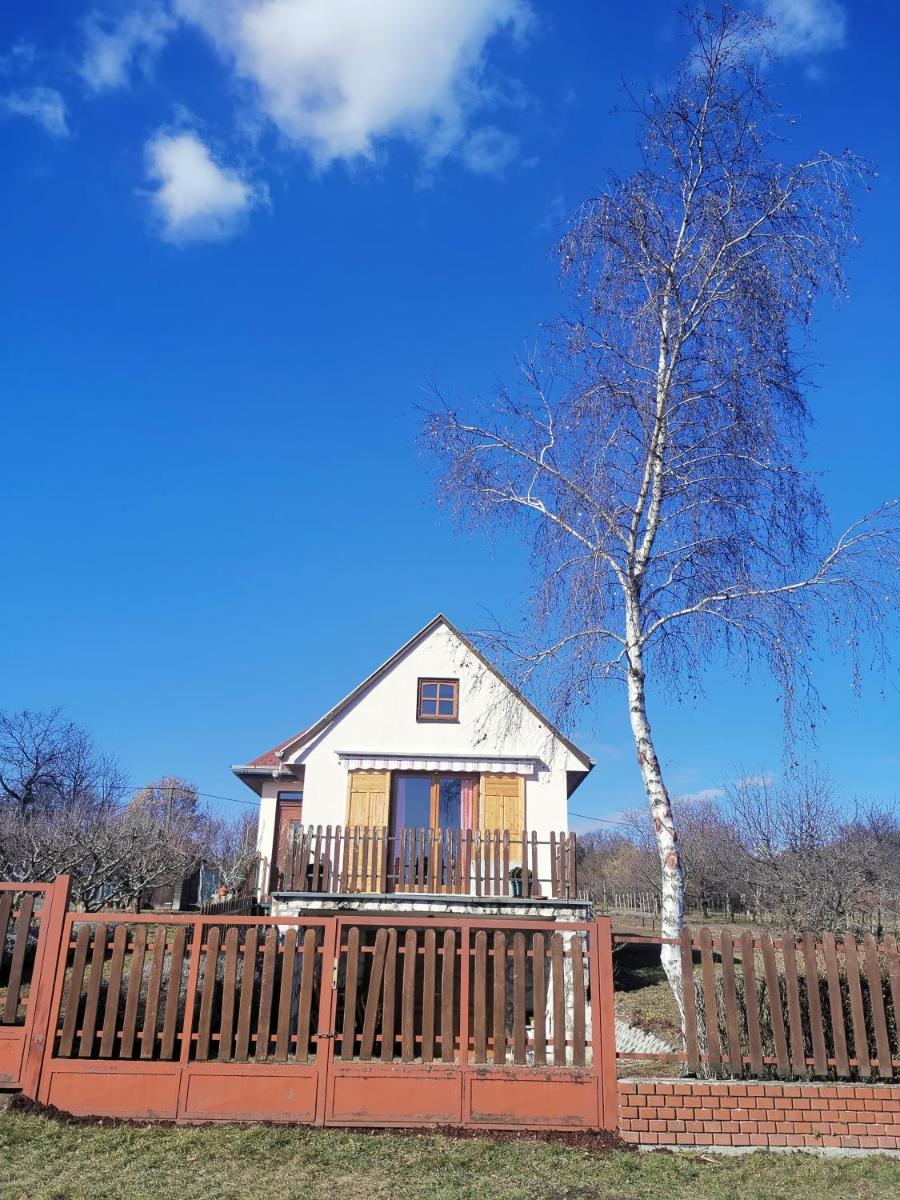 Móni Kisháza - Housity