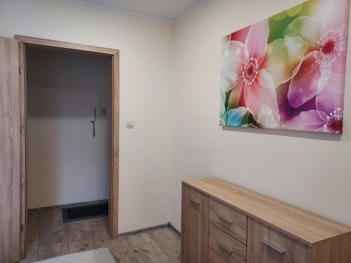 Apartament Karkonosze - Housity
