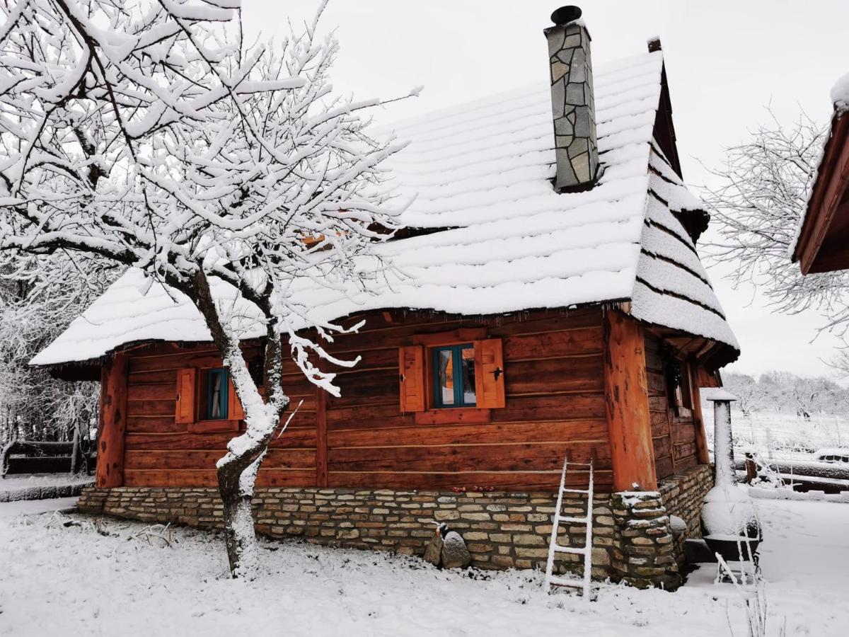 Jabłoniowa Chatka - Housity