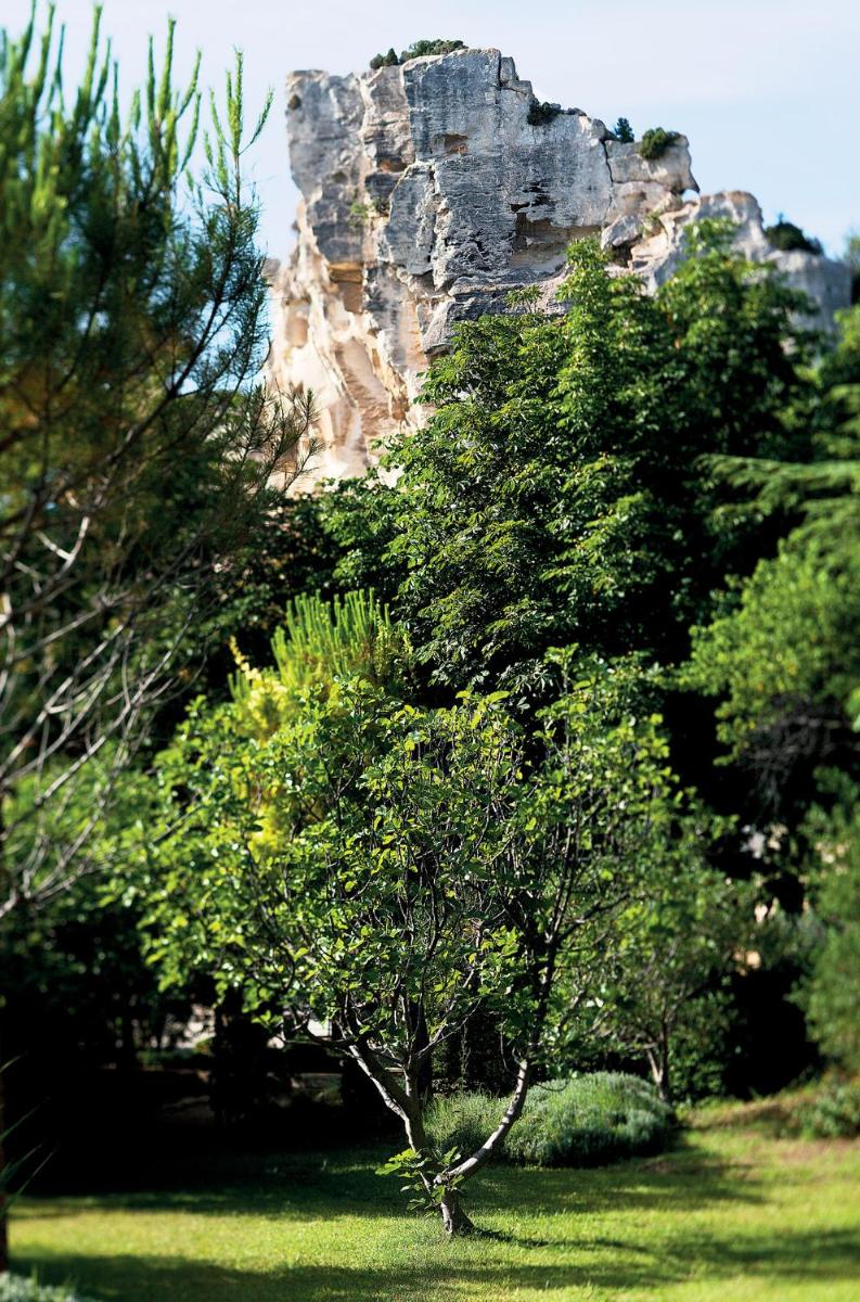 Paysage naturel près de l'hôtel