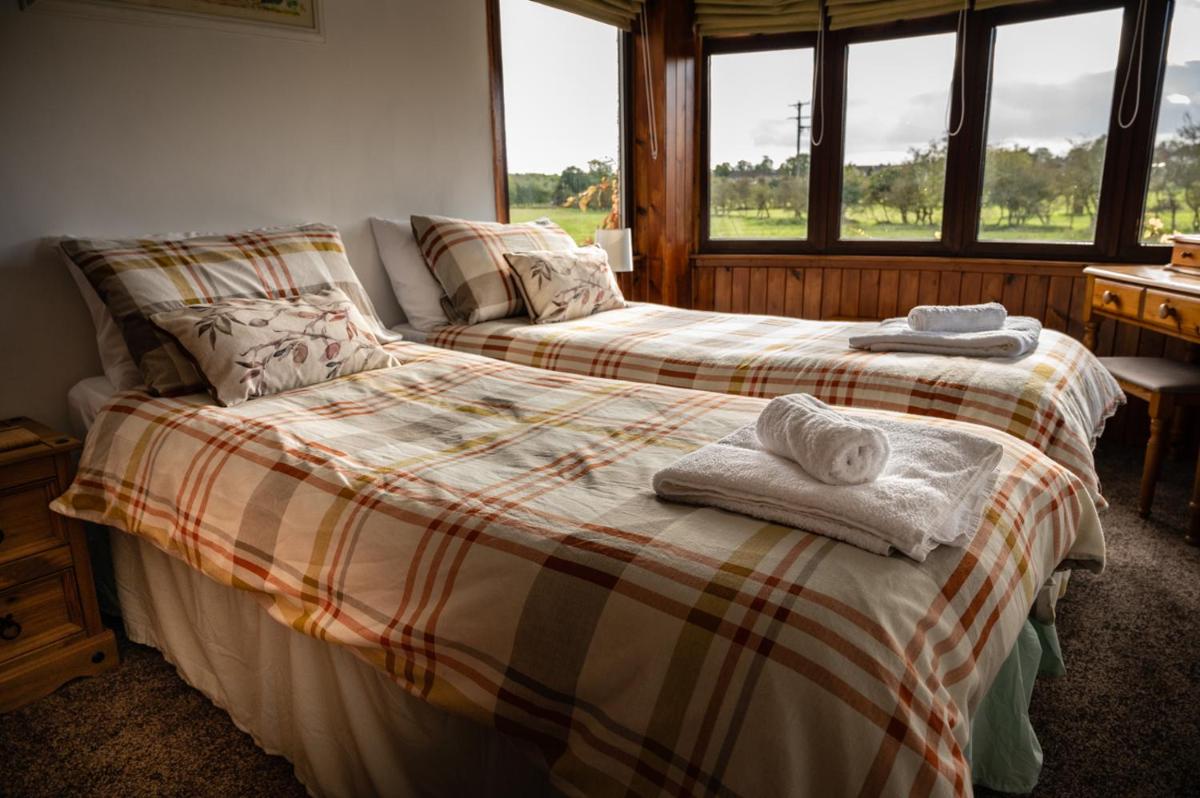 Holly Cottage. Romantic Getaway. Tourist base. - Housity