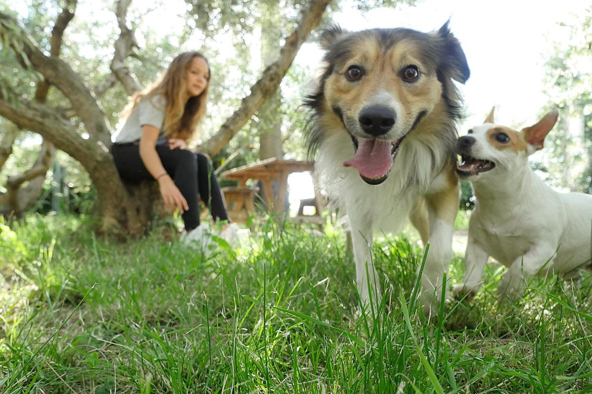 Podere San Giuseppe - Housity