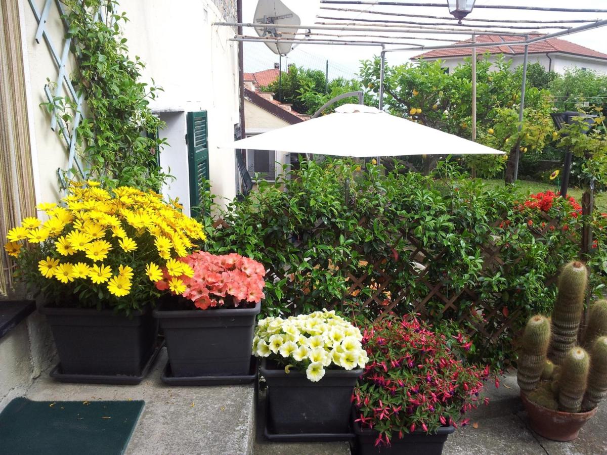 da Marinella - Housity