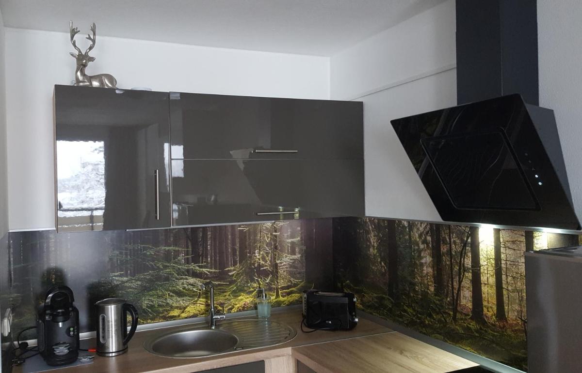 Ferienwohnung mit Blick in den Bayrischen Wald oberhalb von Sankt Engelmar - Housity