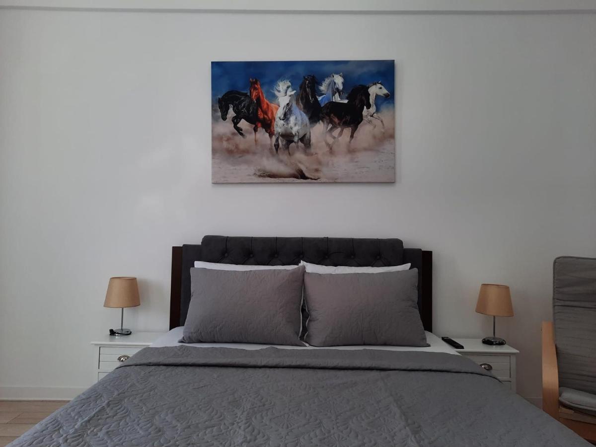 Luxury City Center Apartment – Garofita Romana - Housity