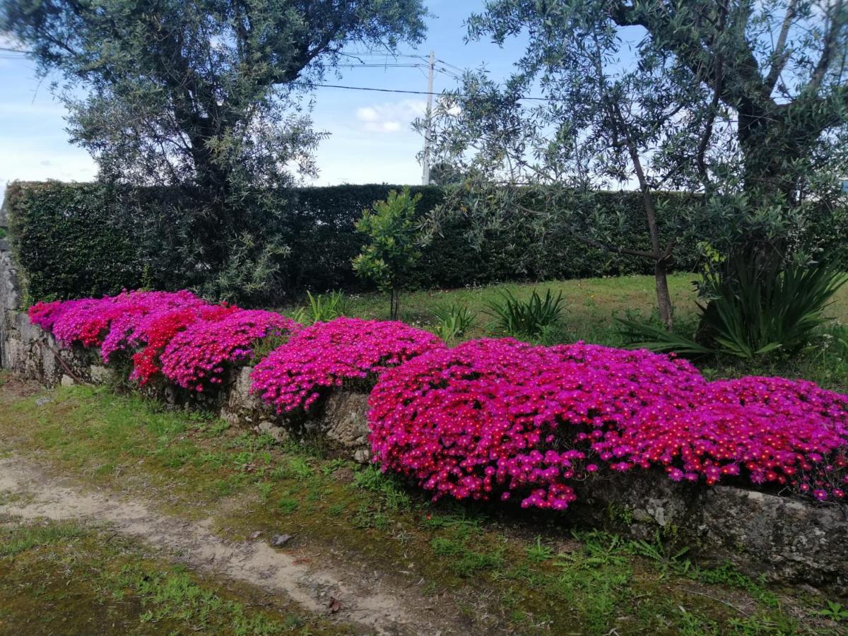 Casa da Elvira - Quinta de Sto António - Housity