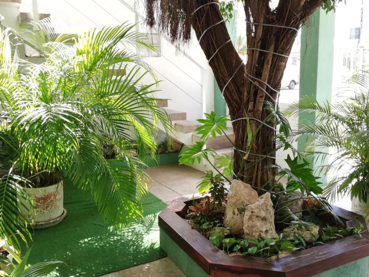 Suitetrails - Quetzal Loft