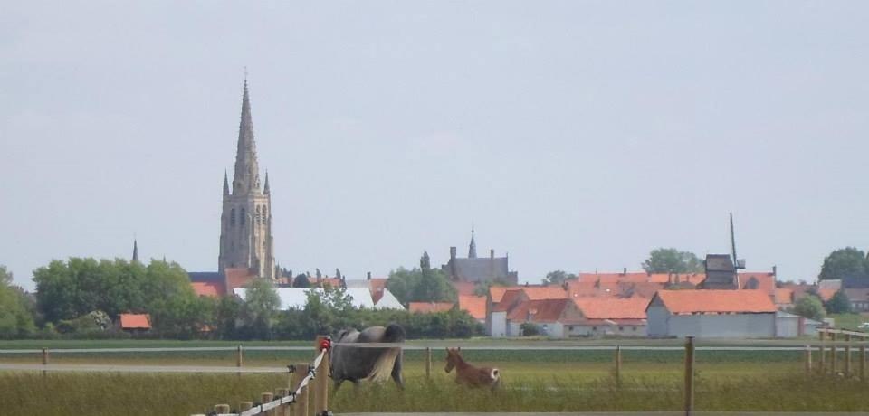 Gite de la Brouckstraete - Housity