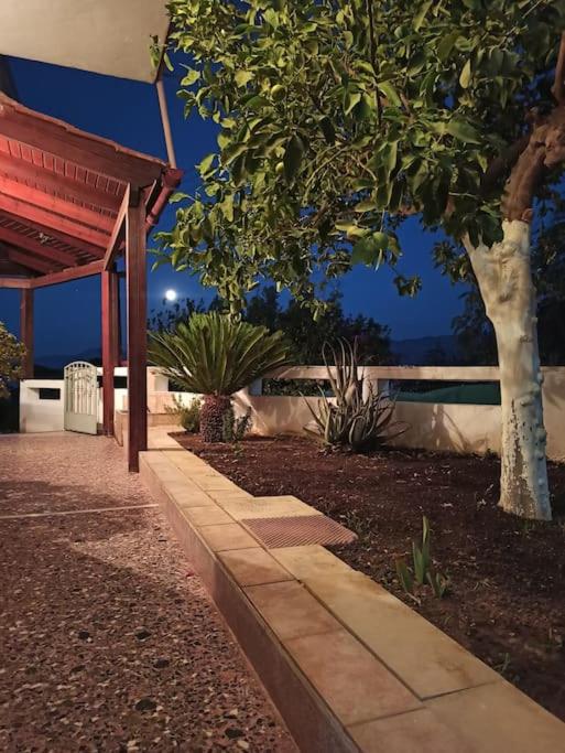 Green Garden House - Housity
