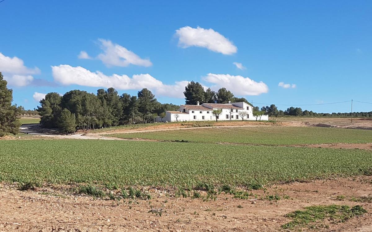 Hotel Casa Pedro Barrera - Housity