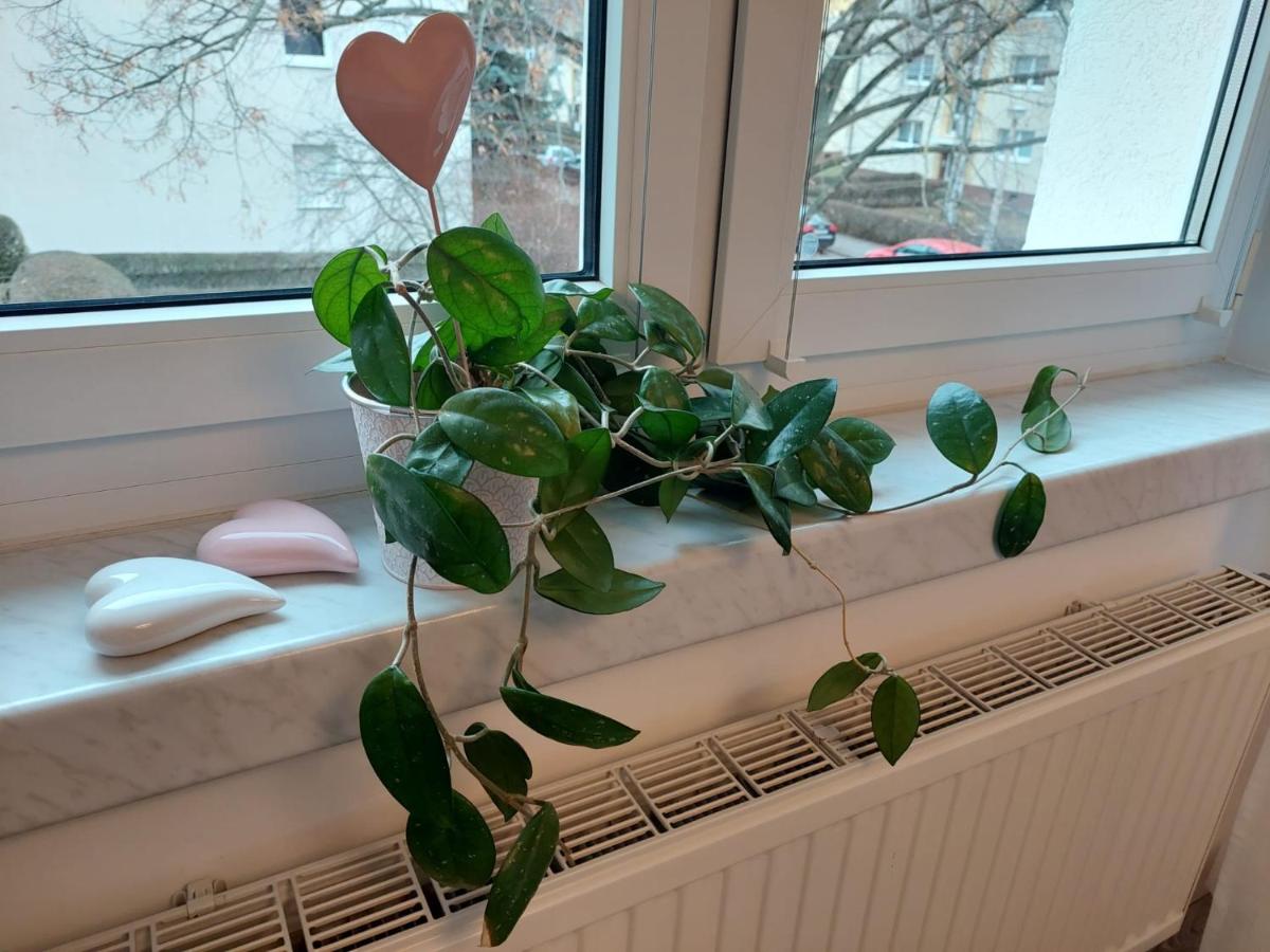 Helles modern eingerichtetes Apartment - Housity