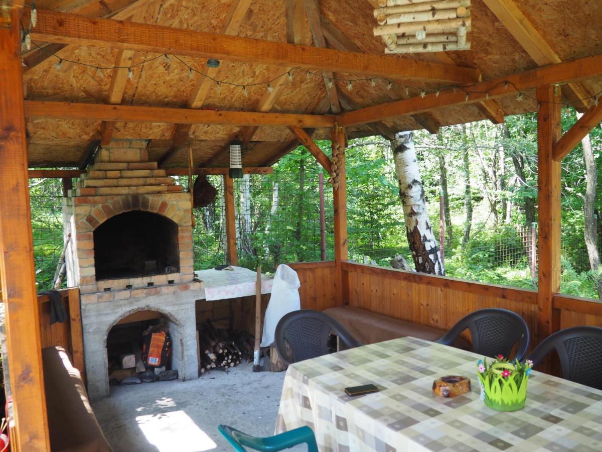 CASA VISTISOARA - Housity