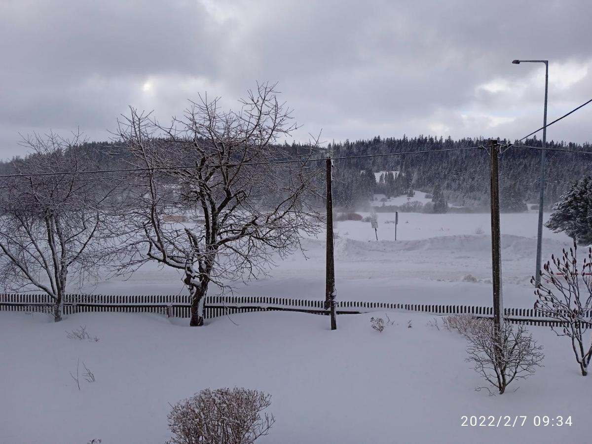 Dwa Widoki Apartamenty - Housity