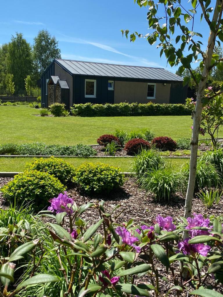 Carpinus - domek nad jeziorem Łętowo - Housity