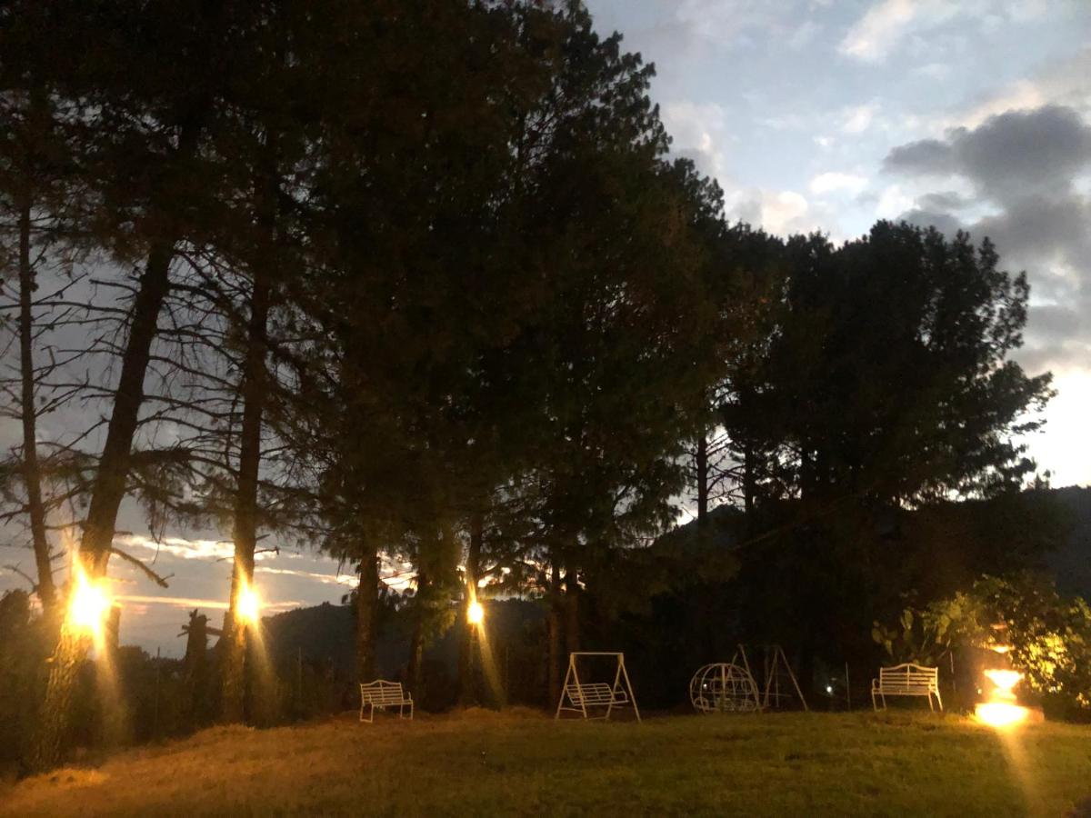 Hermosa Cabaña en la Naturaleza - Housity