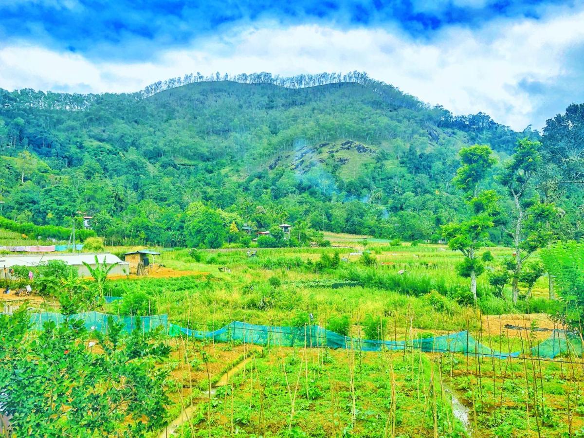 Ella Peace Heaven - Housity