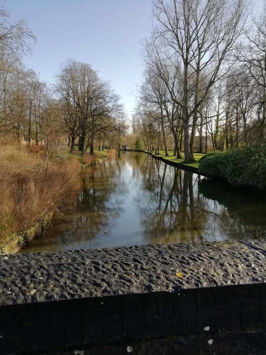 Mooie zwaantjes Brugge - Housity