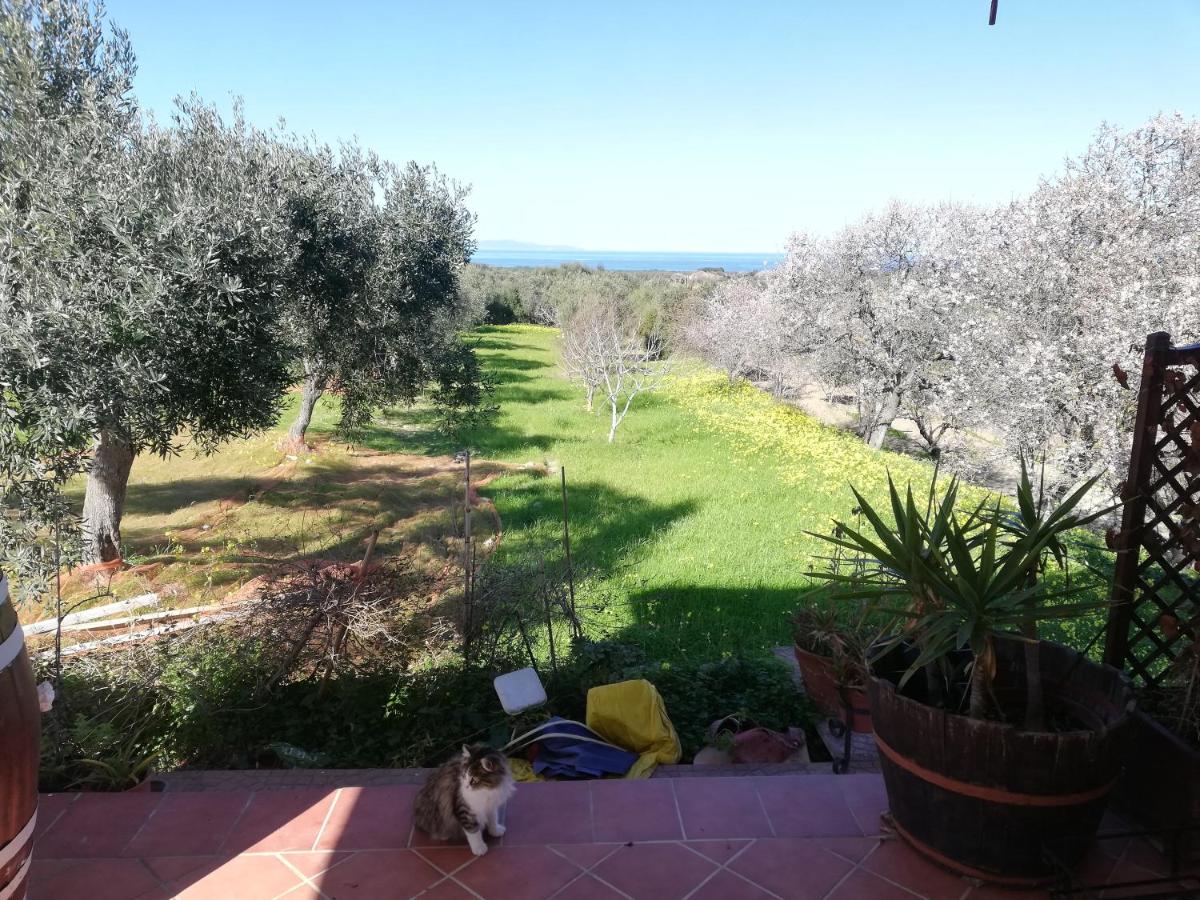 Villa Tirso - IUN S8237 - Housity