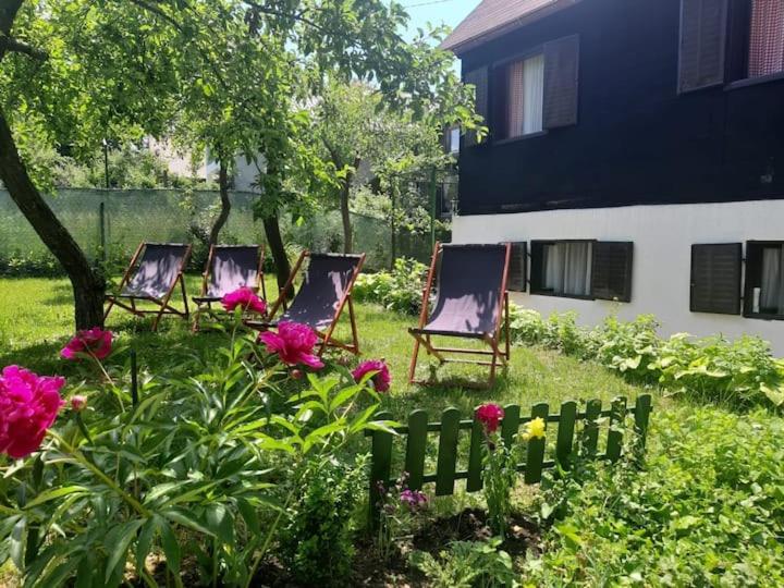 Cottage house in the forest near Zagreb - Housity