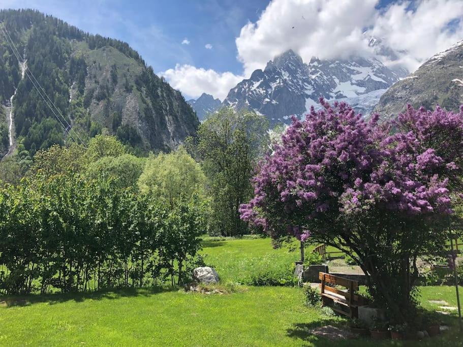 Appartamenti vista Monte Bianco Courmayeur-Entrèves - Housity