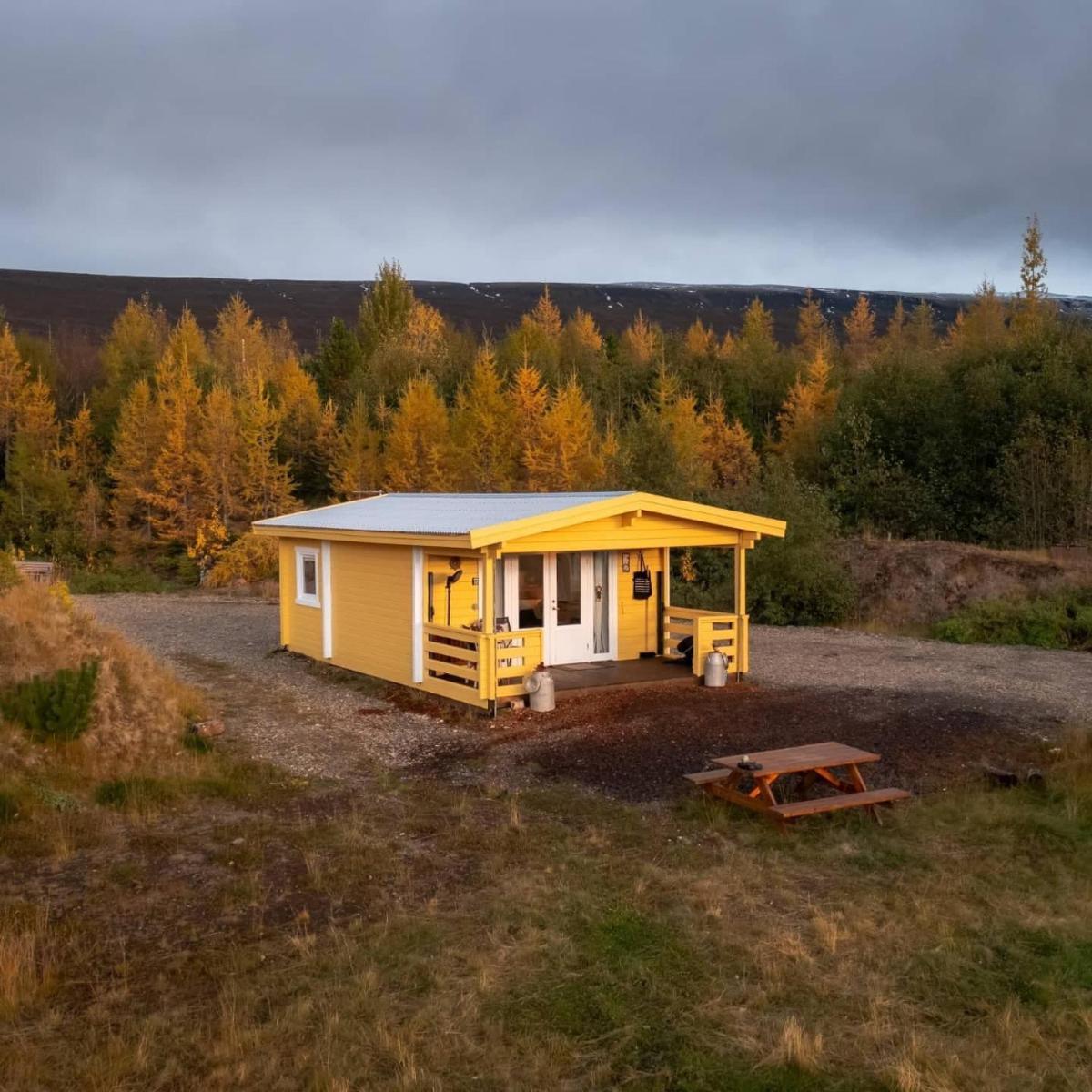 Kaldá Lyngholt - Housity